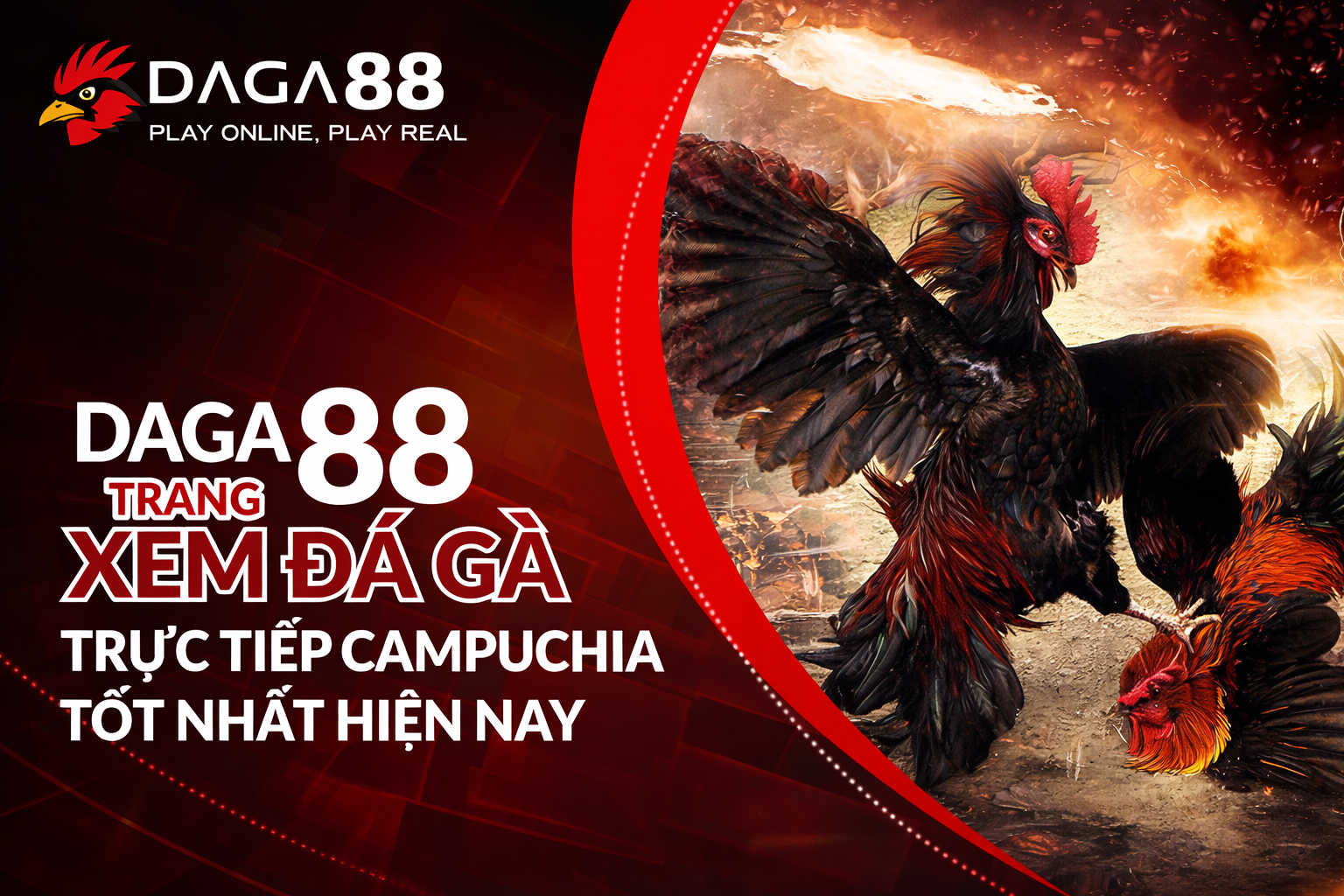 Đá Gà 88 là gì?